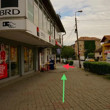 Viorela Alba Iulia