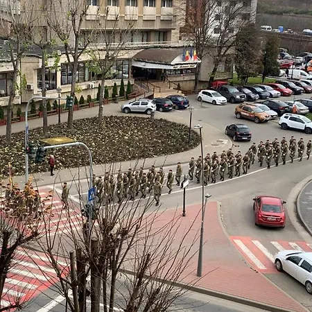 Viorela Alba Iulia